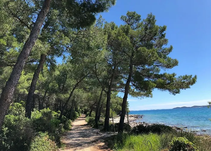 아파트 Julia 파코스탄